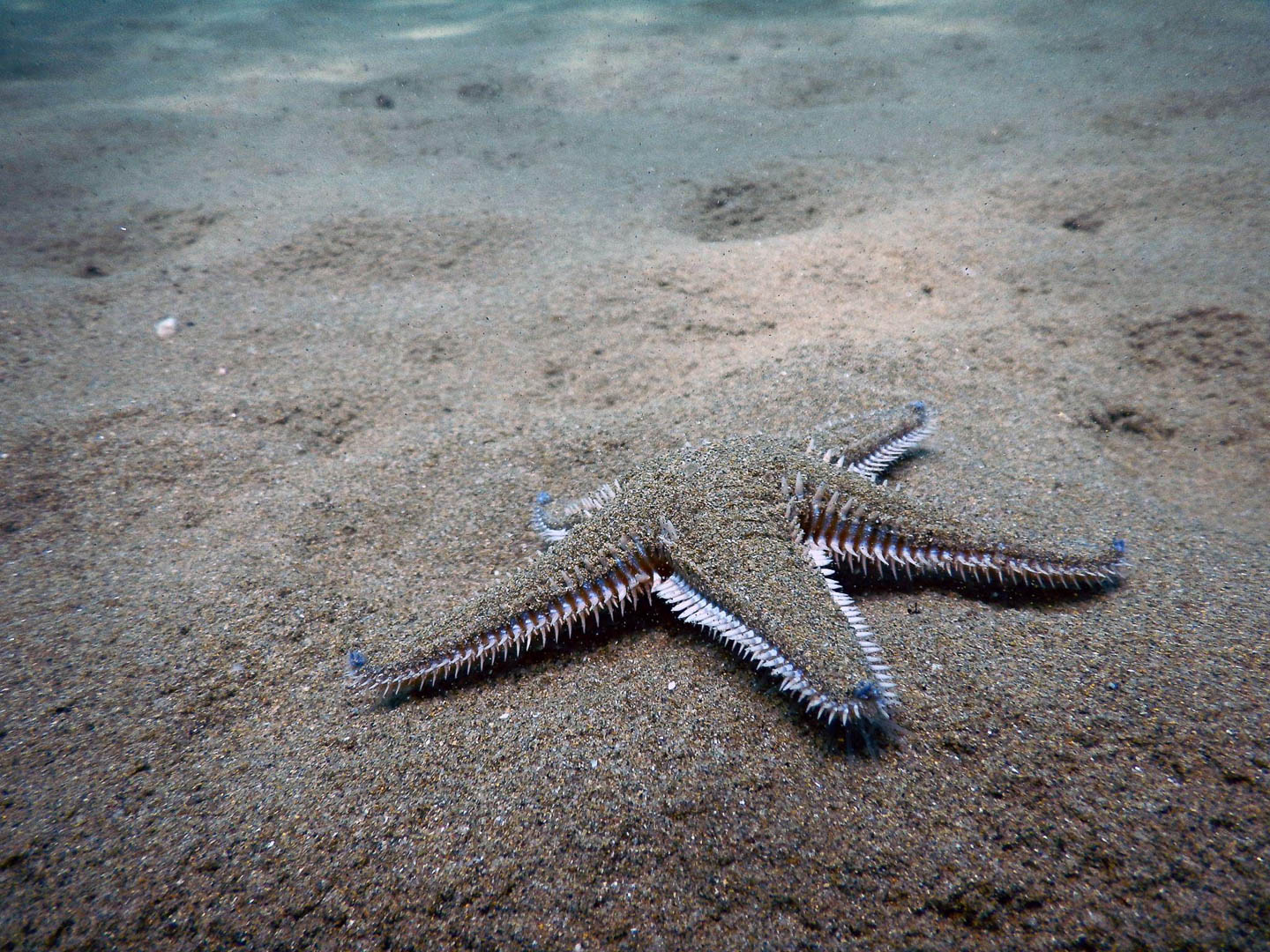 Summer_Escapes_Private_Diving-10